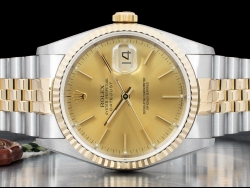 Rolex Datejust 36 Champagne Jubilee Crissy Dial 16233 